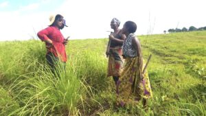 Agriculture, Mpanoka, DRC