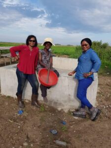 Agriculture initiative Mpanoka, DRC Congo