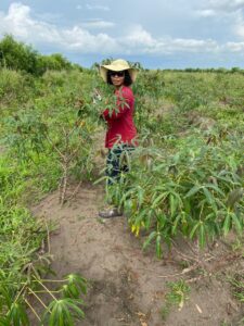 Agriculture initiative Mpanoka, DRC Congo