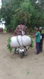 Cassava leaves enroute to market via motorcycle